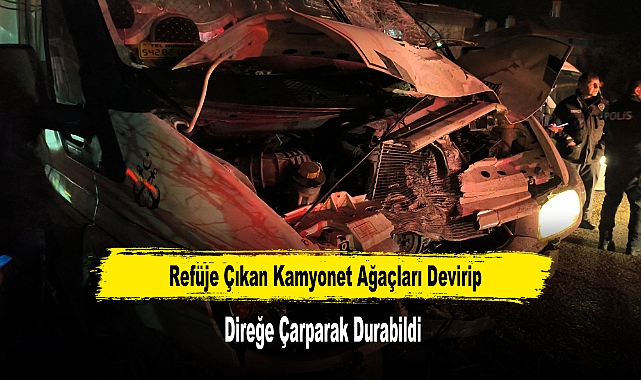 Refüje Çıkan Kamyonet Ağaçları Devirip, Direğe Çarparak Durabildi