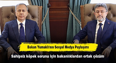 Sahipsiz köpek sorunu için bakanlıklardan ortak çözüm