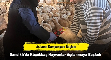 Sandıklı’da Küçükbaş Hayvanlar Aşılanmaya Başladı