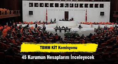 TBMM KİT Komisyonu 45 Kurumun Hesaplarını İnceleyecek