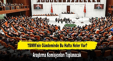 TBMM'nin Gündeminde Bu Hafta Neler Var?