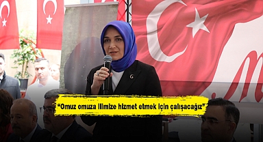 Vali Yiğitbaşı