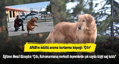 AFAD'ın ödüllü arama kurtarma köpeği: ‘Çıtır’