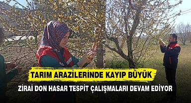 Afyon’da Zirai Don Hasar Tespit Çalışmaları Devam Ediyor
