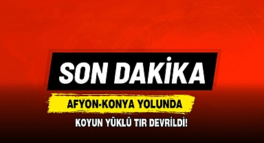 Afyon-Konya Yolunda Koyun Yüklü Tır Devrildi: Çok Sayıda Koyun Telef Oldu!