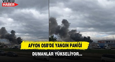Afyon OSB'de Yangın Paniği