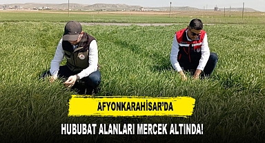 Afyonkarahisar’da Hububat Alanları Mercek Altında!