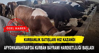 AFYONKARAHİSAR'DA KURBAN BAYRAMI HAREKETLİLİĞİ BAŞLADI