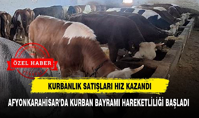 AFYONKARAHİSAR'DA KURBAN BAYRAMI HAREKETLİLİĞİ BAŞLADI