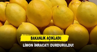 Bakanlık Açıkladı: Limon İhracatı Durduruldu!