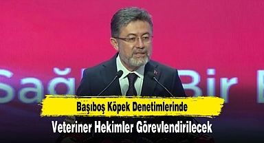 Başıboş Köpek Denetimlerinde Veteriner Hekimler Görevlendirilecek