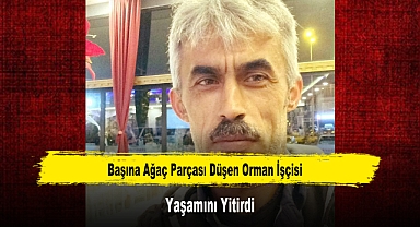 Başına Ağaç Parçası Düşen Orman İşçisi Yaşamını Yitirdi