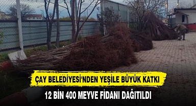 ÇAY BELEDİYESİ'NDEN YEŞİLE BÜYÜK KATKI