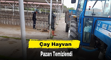 Çay Hayvan Pazarı Temizlendi