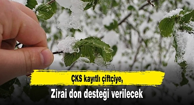 ÇKS kayıtlı çiftçiye zirai don desteği verilecek