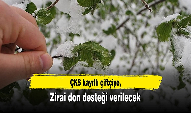 ÇKS kayıtlı çiftçiye zirai don desteği verilecek