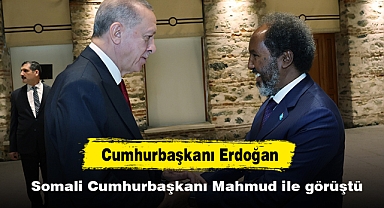 Cumhurbaşkanı Erdoğan, Somali Cumhurbaşkanı Mahmud ile görüştü