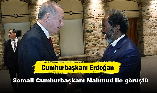 Cumhurbaşkanı Erdoğan, Somali Cumhurbaşkanı Mahmud ile görüştü