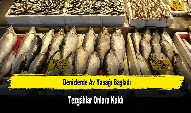 Denizlerde Av Yasağı Başladı, Tezgâhlar Onlara Kaldı