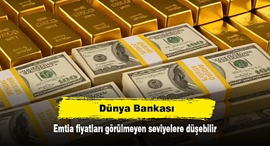 Dünya Bankası: Emtia fiyatları görülmeyen seviyelere düşebilir