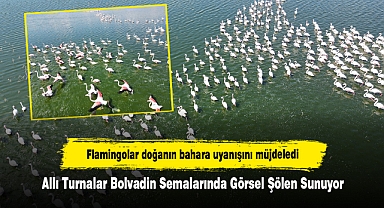 Flamingolar doğanın bahara uyanışını müjdeledi: Allı Turnalar Bolvadin Semalarında Görsel Şölen Sunuyor