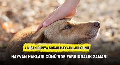 HAYVAN HAKLARI GÜNÜ'NDE FARKINDALIK ZAMANI