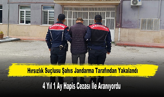 Hırsızlık Suçlusu Şahıs Jandarma Tarafından Yakalandı