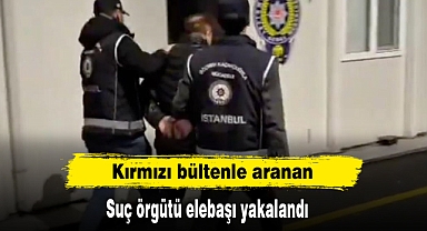 Kırmızı bültenle aranan suç örgütü elebaşı yakalandı
