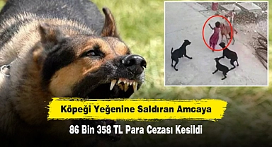 Köpeği Yeğenine Saldıran Amcaya 86 Bin 358 TL Para Cezası Kesildi