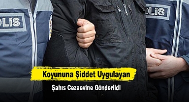 Koyununa Şiddet Uygulayan Şahıs Cezaevine Gönderildi