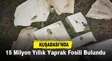 Kuşadası'nda 15 milyon yıllık yaprak fosili bulundu
