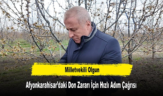 Milletvekili Olgun Afyonkarahisar’daki Don Zararı İçin Hızlı Adım Çağrısı