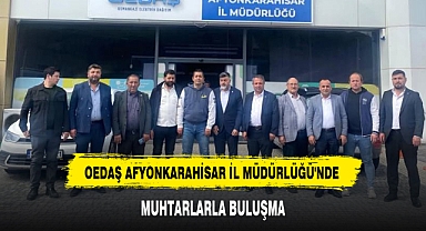 OEDAŞ AFYONKARAHİSAR İL MÜDÜRLÜĞÜ'NDE MUHTARLARLA BULUŞMA