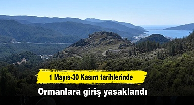 Ormanlara giriş yasaklandı