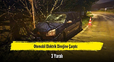 Otomobil Elektrik Direğine Çarptı: 3 Yaralı