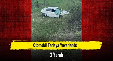 Otomobil Tarlaya Yuvarlandı: 3 Yaralı