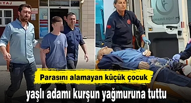 Parasını alamayan küçük çocuk, yaşlı adamı kurşun yağmuruna tuttu
