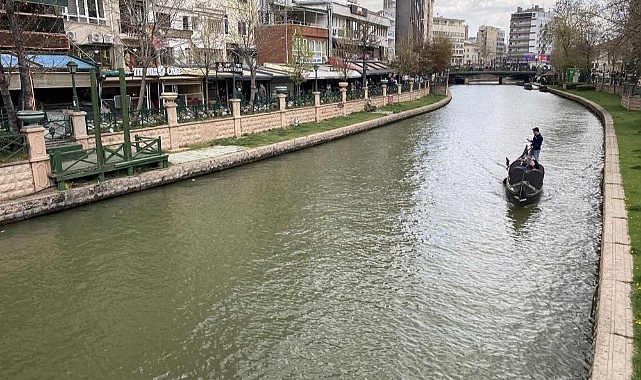 Porsuk Çayı'nda ölen balıklar su yüzeyine vurdu