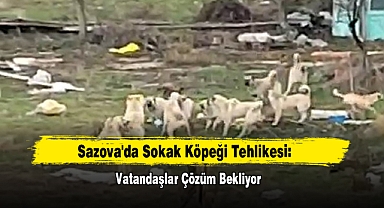 Sazova'da Sokak Köpeği Tehlikesi: Vatandaşlar Çözüm Bekliyor