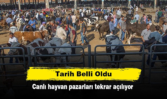 Tarih Belli Oldu: Canlı hayvan pazarları tekrar açılıyor