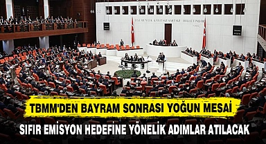 TBMM'DEN BAYRAM SONRASI YOĞUN MESAİ