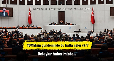 TBMM'nin gündeminde bu hafta neler var?