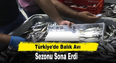 Türkiye'de Balık Avı Sezonu Sona Erdi