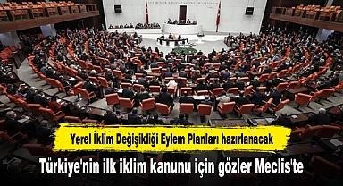 Türkiye'nin ilk iklim kanunu için gözler Meclis'te