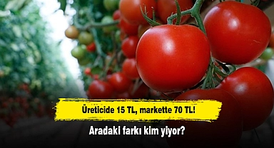 Üreticide 15 TL, markette 70 TL! Aradaki farkı kim yiyor?