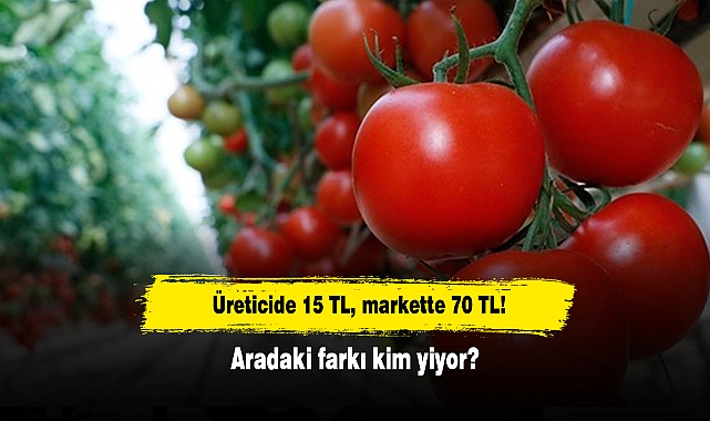 Üreticide 15 TL, markette 70 TL! Aradaki farkı kim yiyor?