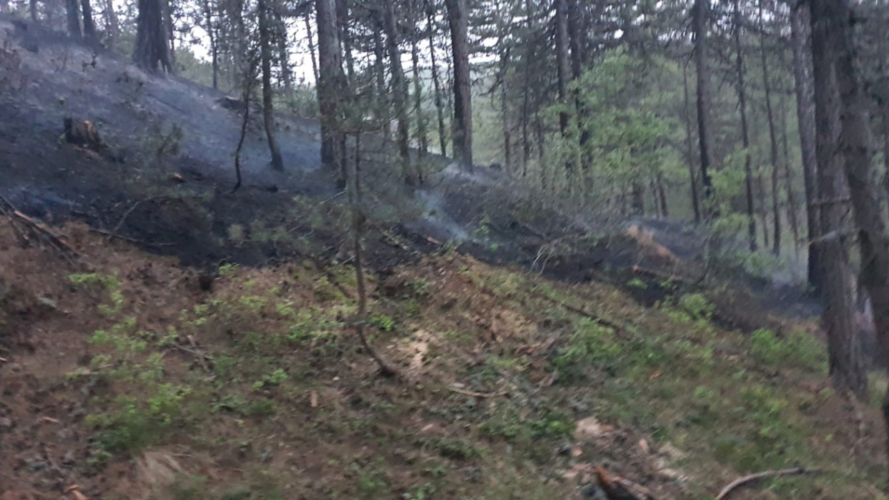 Afyon’da 20 Bin Metrekarelik Alan Kül Oldu