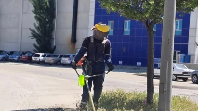OSB'de Bahar Temizliği: Fidanlar Toprakla Buluştu, Kaldırımlar Yenilendi