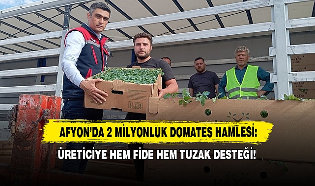 Afyon’da 2 Milyonluk Domates Hamlesi: Üreticiye Hem Fide Hem Tuzak Desteği!