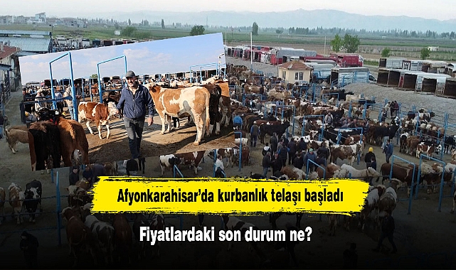 Afyonkarahisar’da kurbanlık telaşı başladı:  Fiyatlardaki son durum ne?